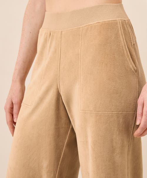 Pact Organic Cotton Pure Velour Wide Leg Pant In Brown