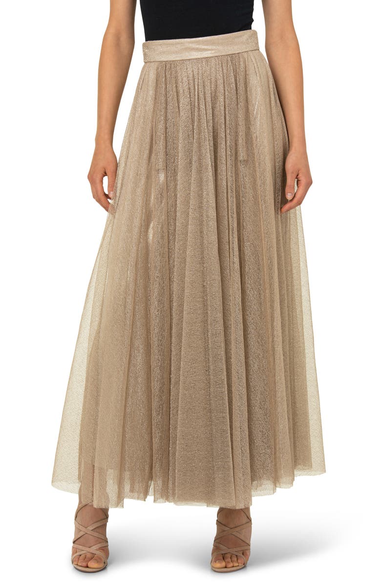 Akris Pleated Tulle & Jersey A-Line Skirt, Main, color,