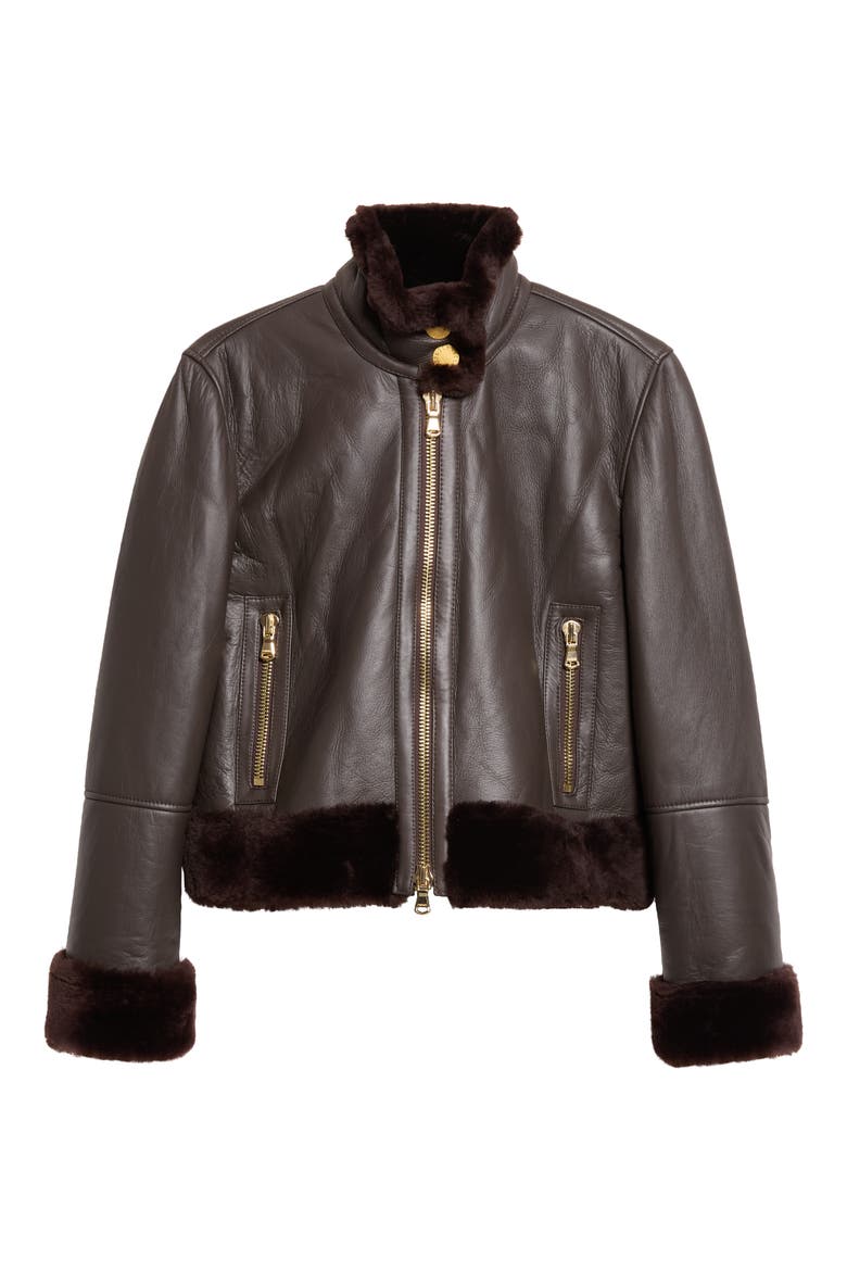Glacia Genuine Shearling Trim Leather Jacket, Main, color, DARK JAVA