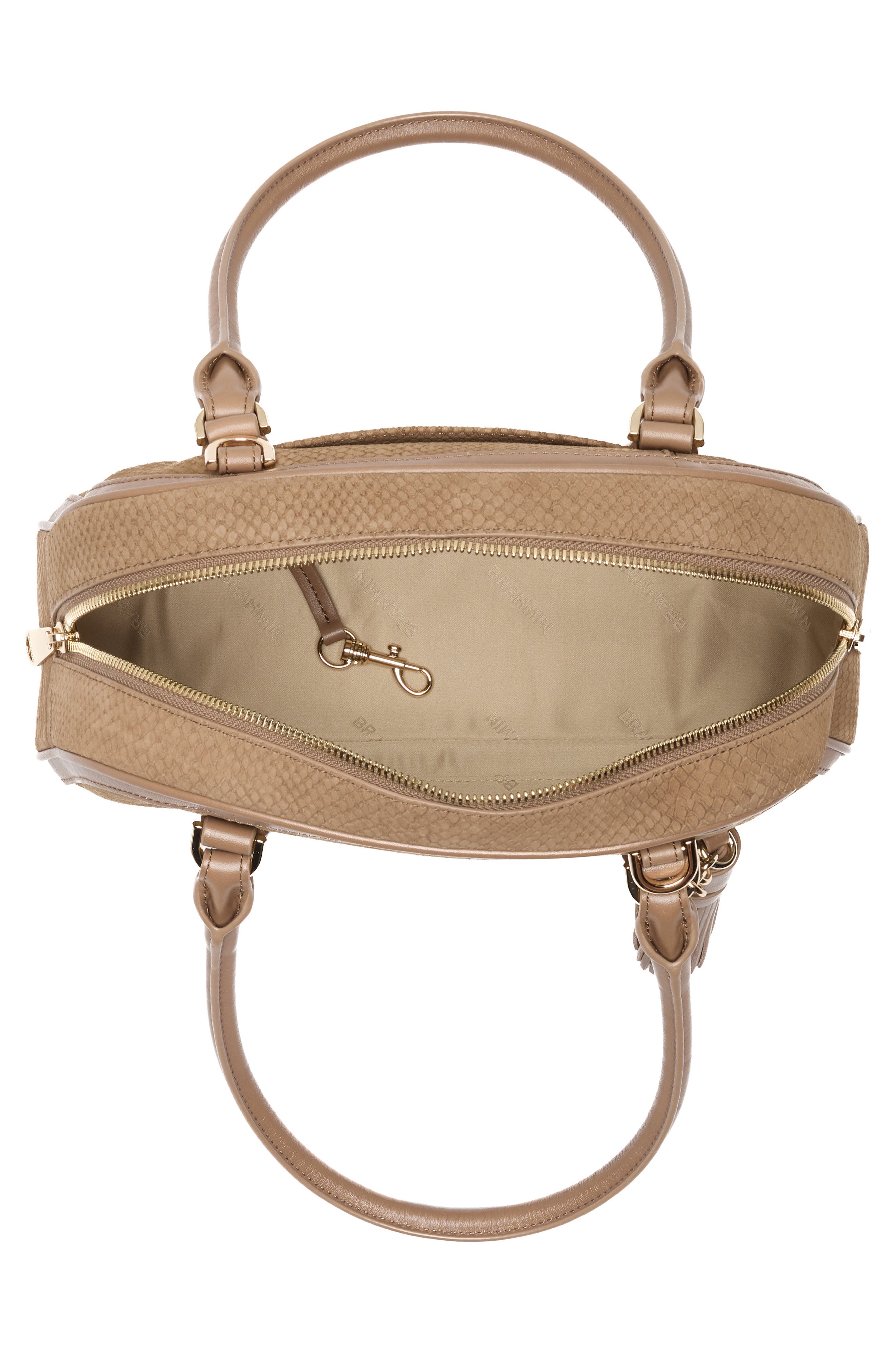 Angie Snakeskin Embossed Leather Satchel, Alternate, color, TAUPE BELCANTO