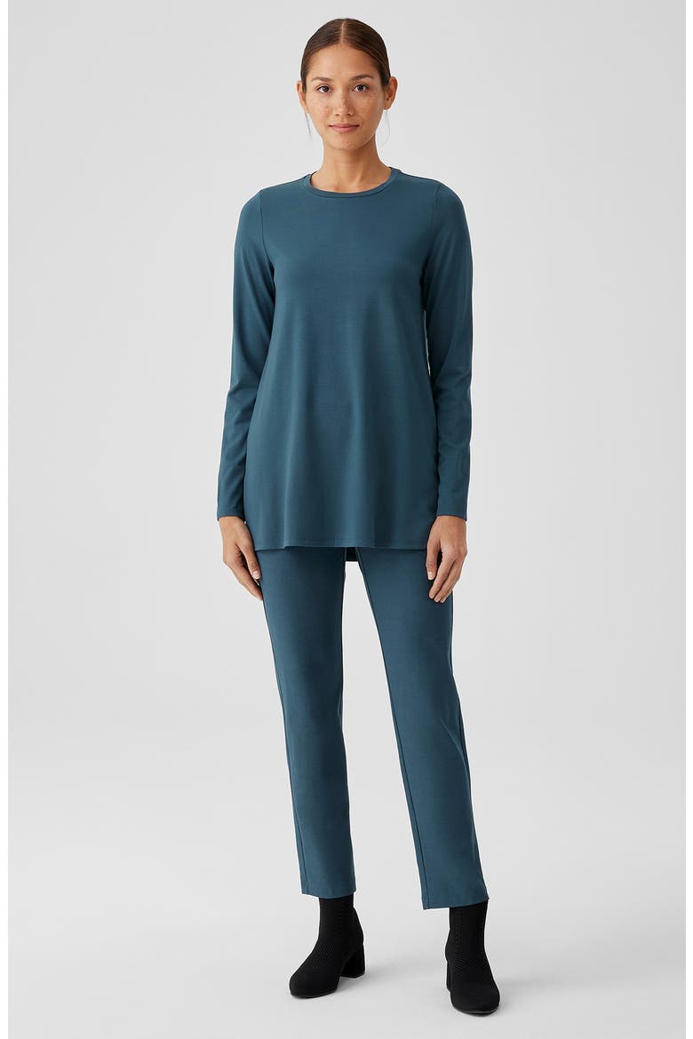 Crewneck Long Sleeve Tunic Top, Alternate, color, ALPINE