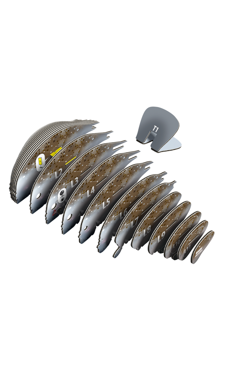 Eugy Puzzles Manatee 3D Puzzle, Alternate, color, NO COLOR