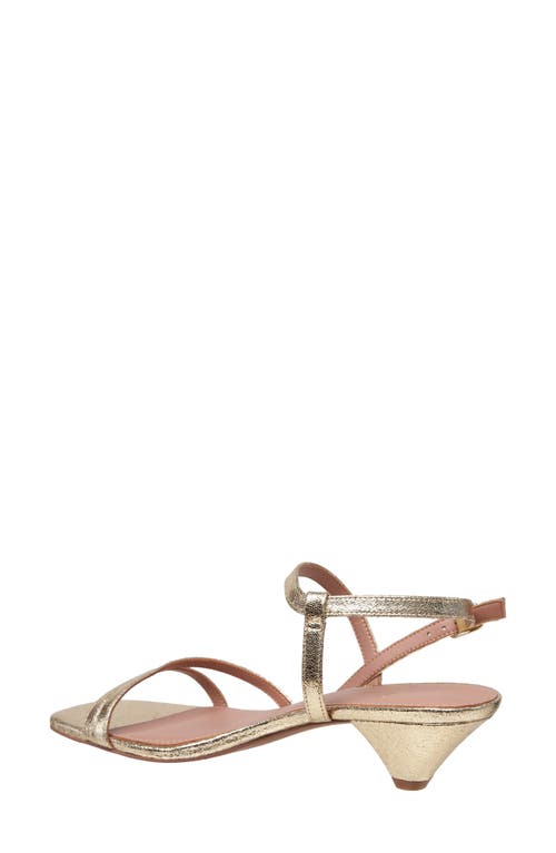 Linea Paolo Cannes Strappy Sandal In Gold