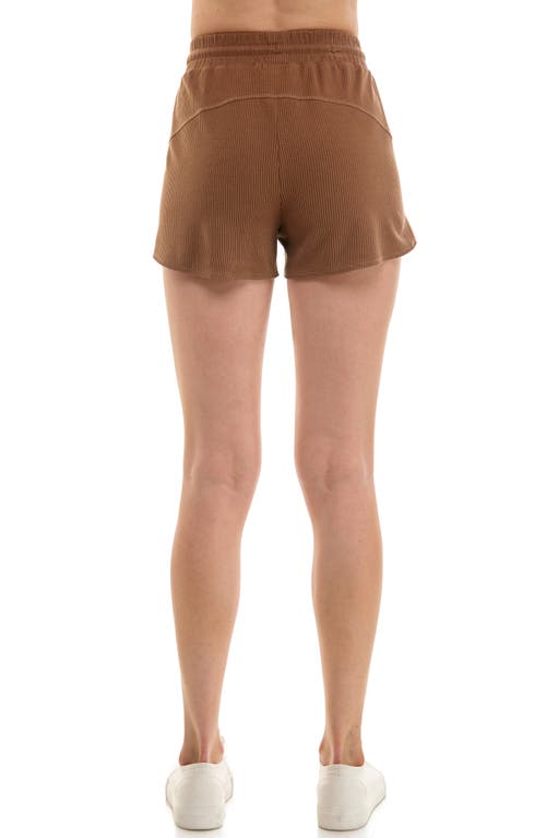 Urban Social Dolphin Shorts In Brown