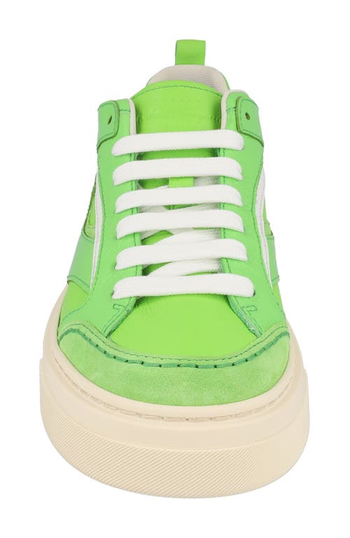 Ferragamo Man Sneakers Light Green Size 12 Leather In Green