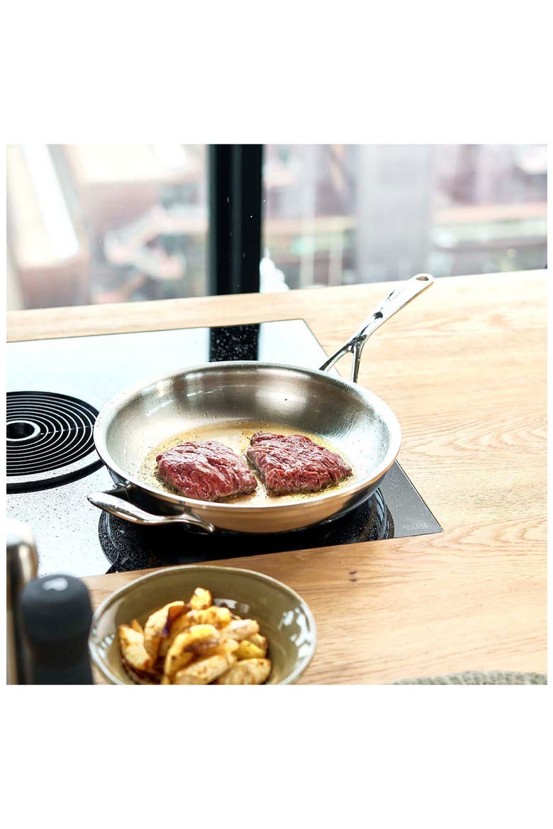 Atlantis Proline 11-Inch Stainless Steel Fry Pan with Helper Handle, Alternate, color, STAINLESS STEEL