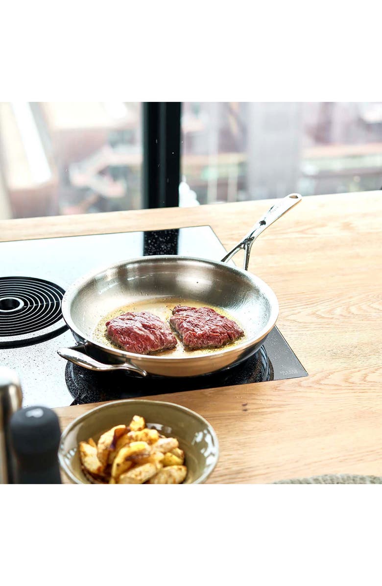 Demeyere Atlantis Proline 11-Inch Stainless Steel Fry Pan with Helper Handle, Alternate, color, Stainless Steel