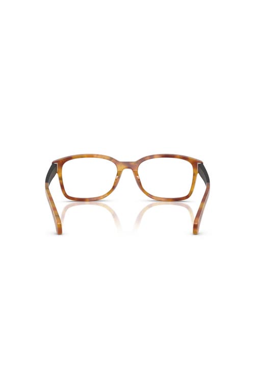 Moncler 54mm Rectangle Optical Glasses In Brown