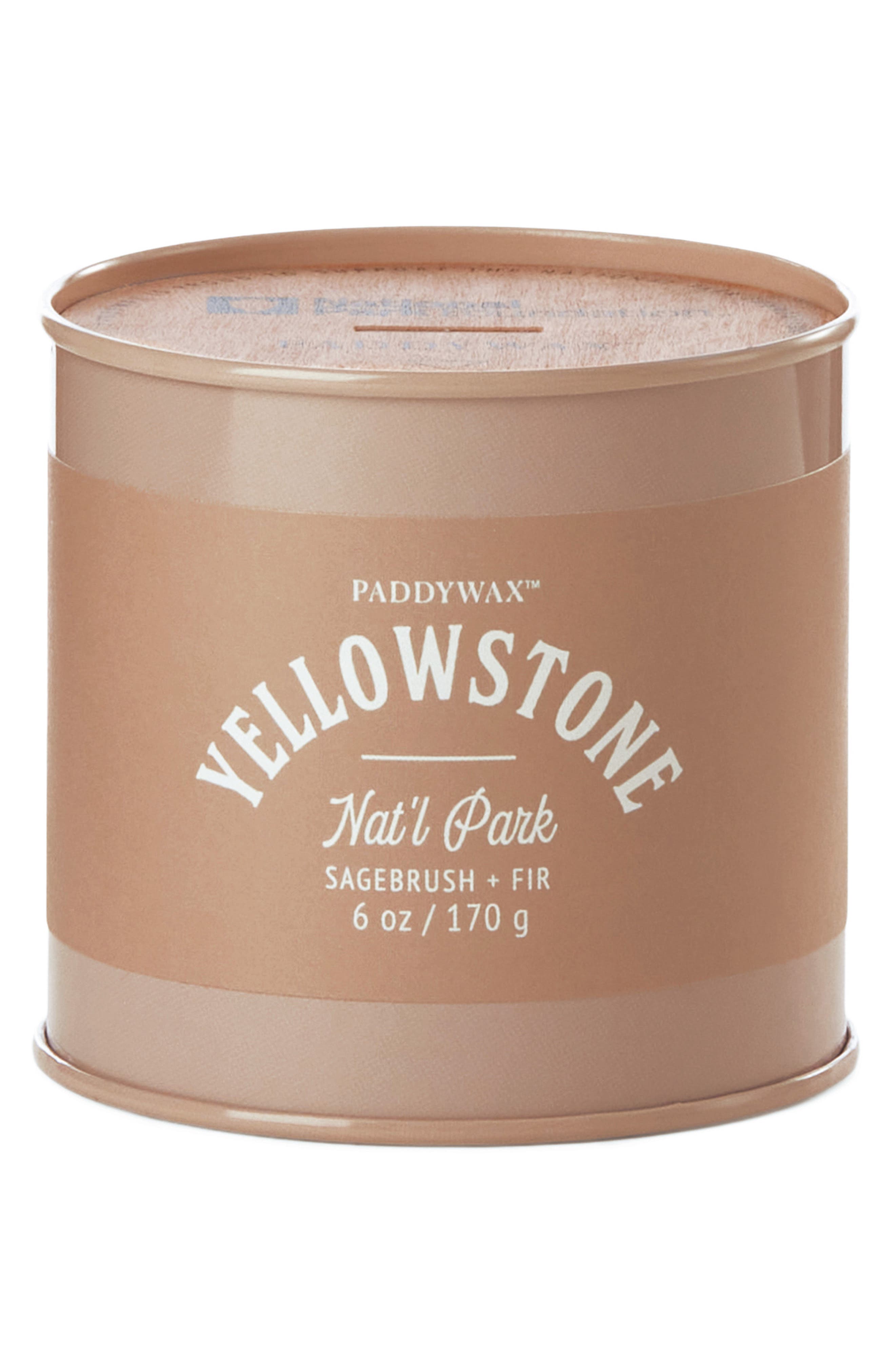 Paddywax Yellowstone Tin Candle