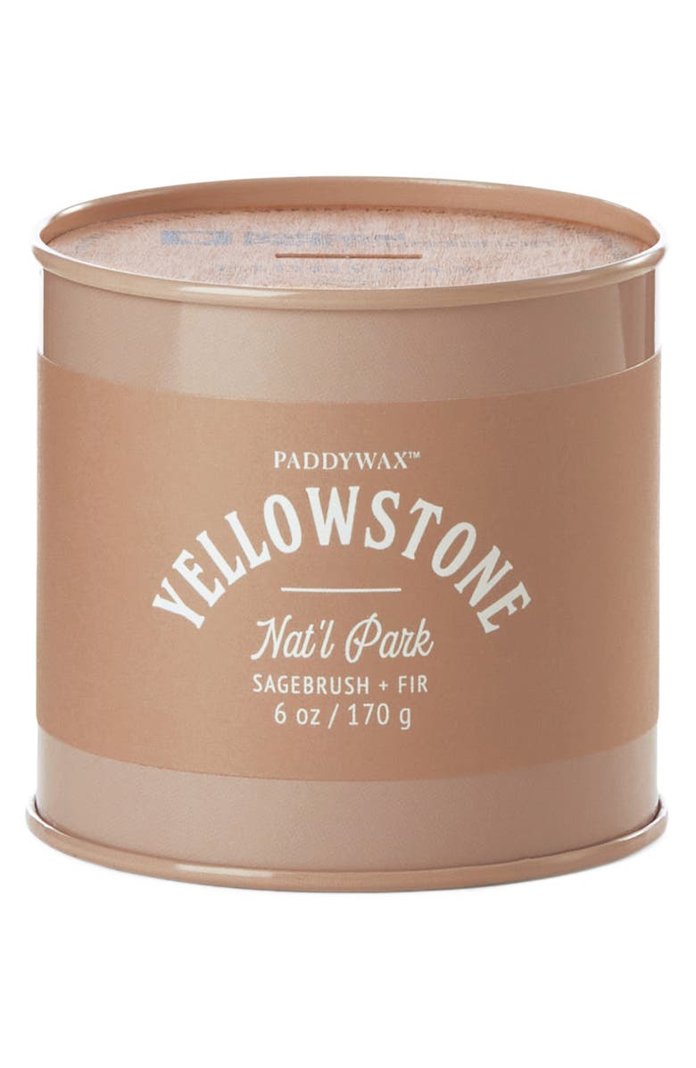 Paddywax Yellowstone Tin Candle, Main, color, Sagebrush + Fir