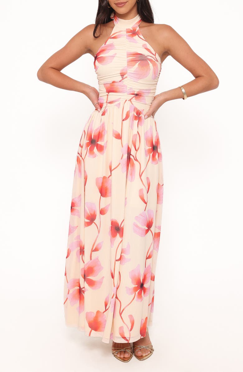 Petal & Pup Kaira Halter Neck Maxi Dress, Main, color, Pink Floral