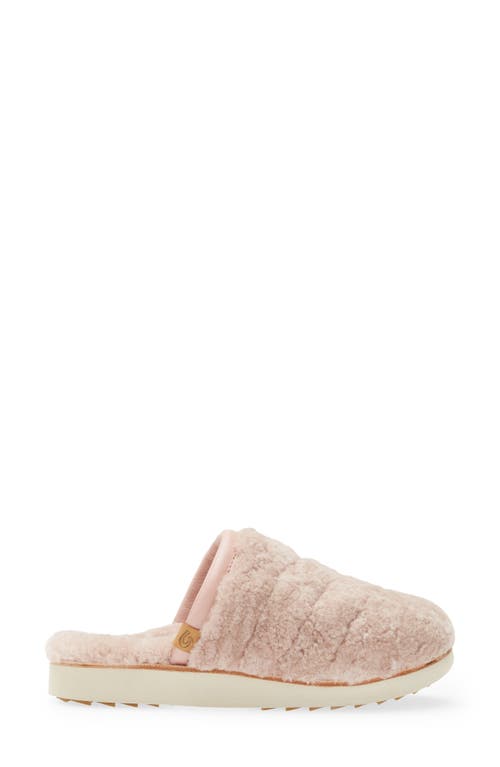 Olukai Pupu Mua Genuine Shearling Scuff Slipper In Pink