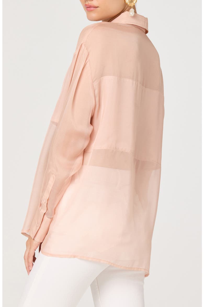 Evie Semisheer Long Sleeve Button Front Shirt, Alternate, color, BLUSH
