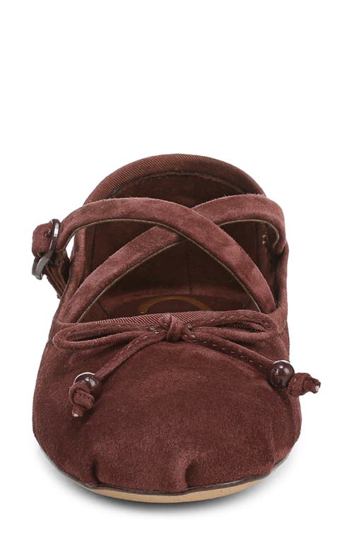 Circus Ny By Sam Edelman Zuri Strappy Ballet Flat In Brown
