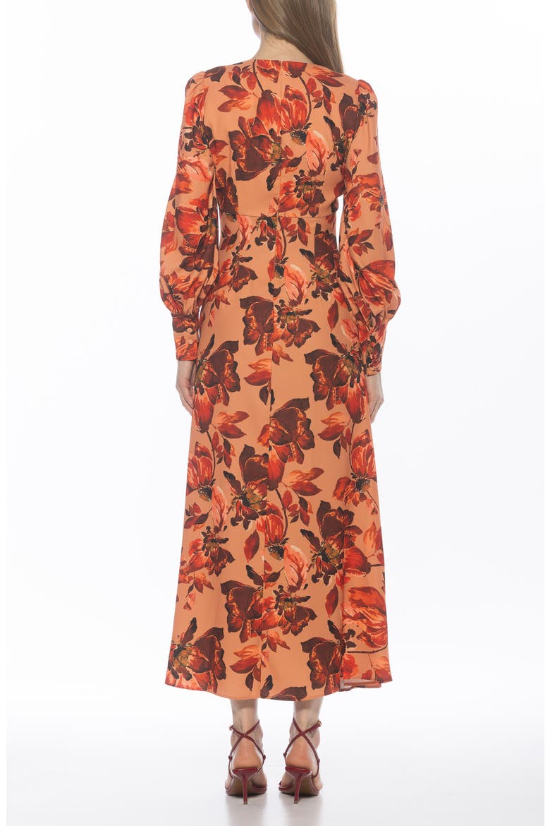 Yesenia Long Sleeve Empire Waist Maxi Dress, Alternate, color, RUST FLORAL