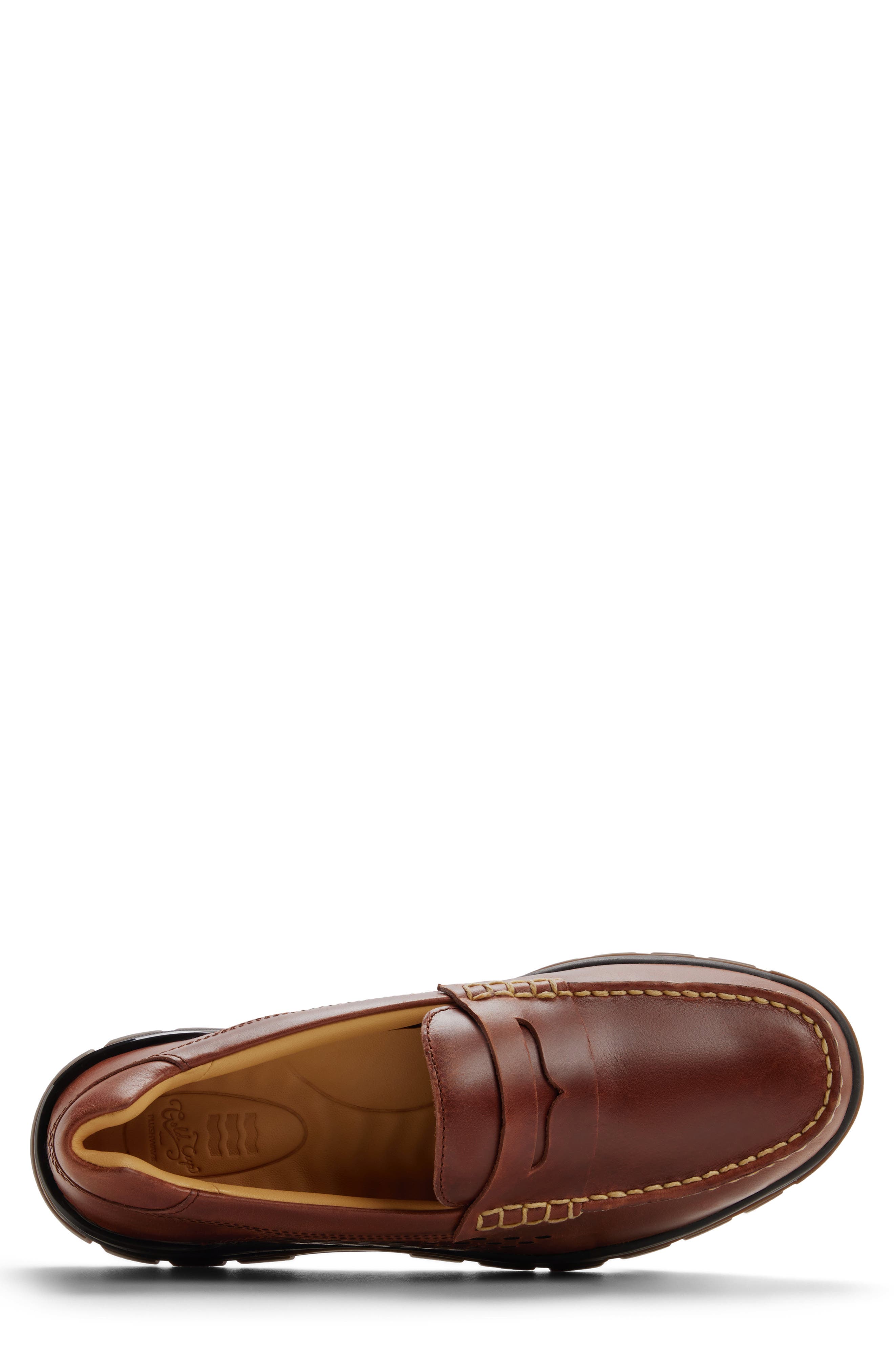 Sperry Gold Cup Billfish Penny Loafer, Alternate, color, Dark Red Brown