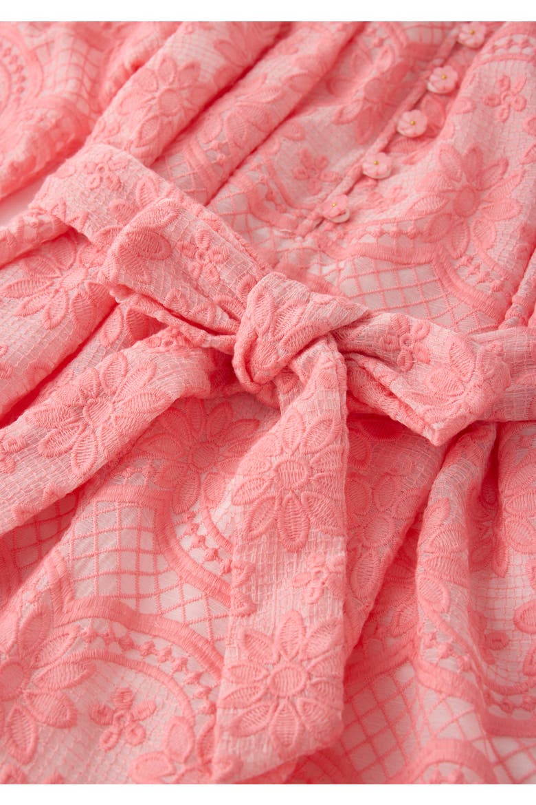 Kaia Lace Embroidered Mini Dress, Alternate, color, Peach
