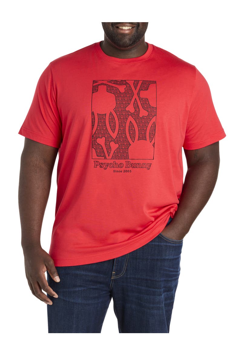 Big & Tall Glenn Graphic Tee, Main, color, BITTERSWEET