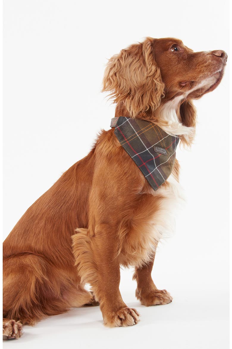 Tartan Dog Bandana, Alternate, color, CLASSIC TARTAN