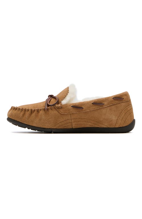 Abeo Amble Bow In Tan - Regular