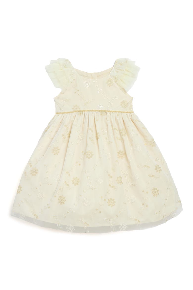 Kids' Sienna Embroidered Party Dress, Main, color, IVORY