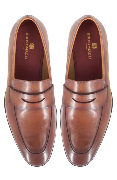 Bruno Magli Maioco Penny Loafer In Cognac Calf