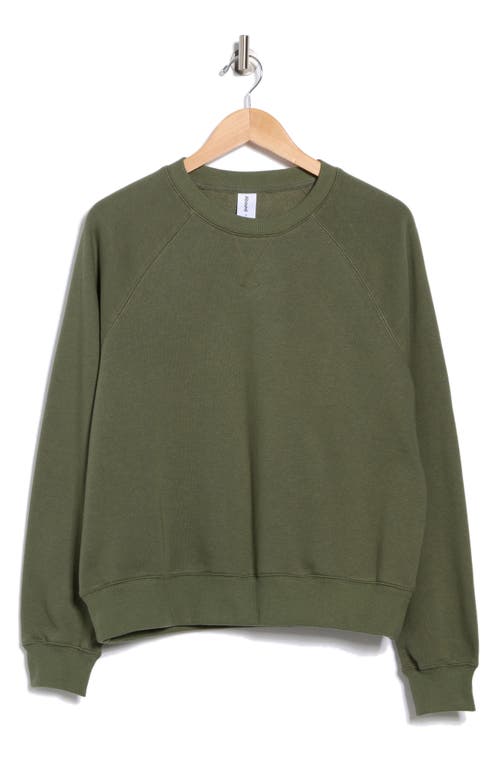 Abound Raglan Sleeve Sweatshirt