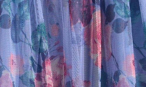 Ava & Yelly Kid's Floral Print Mesh Dress In Peri