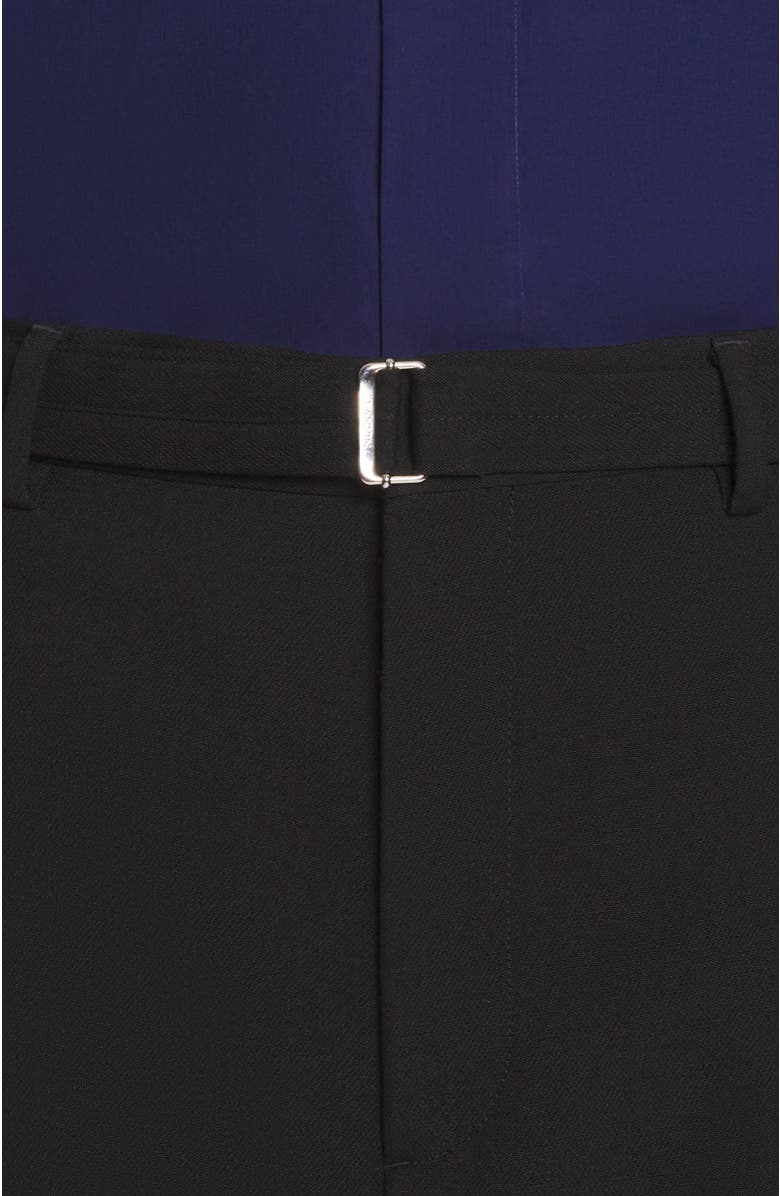 Lanvin Wide-leg Pants with Cuffs, Alternate, color,