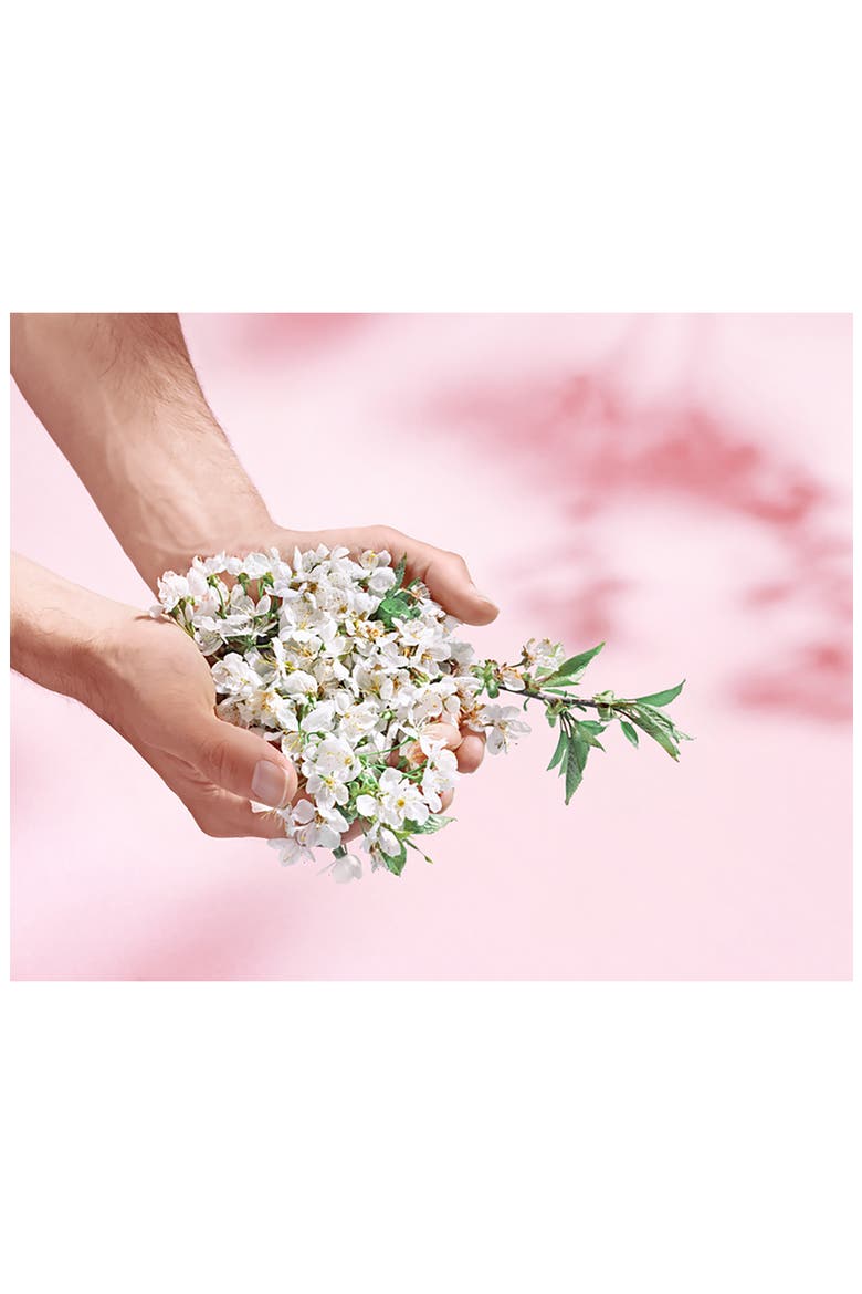 Cherry Blossom Hand Cream, Alternate, color, NO COLOR