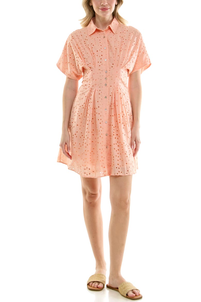 Cotton Broderie Anglaise Mini Shirtdress, Main, color, DUSTY PEACH