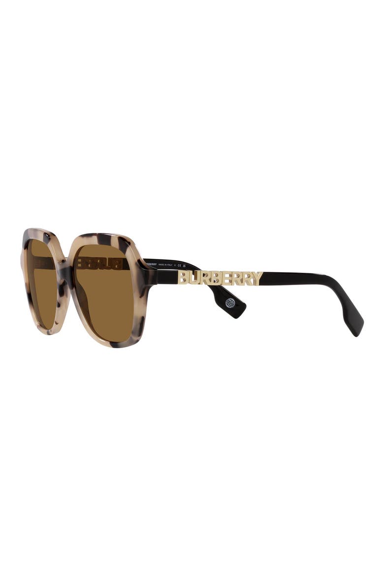 Joni 55mm Square Sunglasses, Alternate, color, SPOTTED HORN