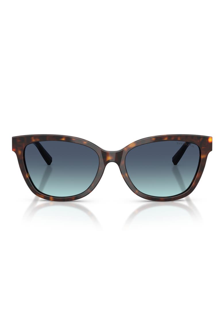 55mm Gradient Cat Eye Sunglasses, Main, color, HAVANA / AZURE GRADIENT BLUE