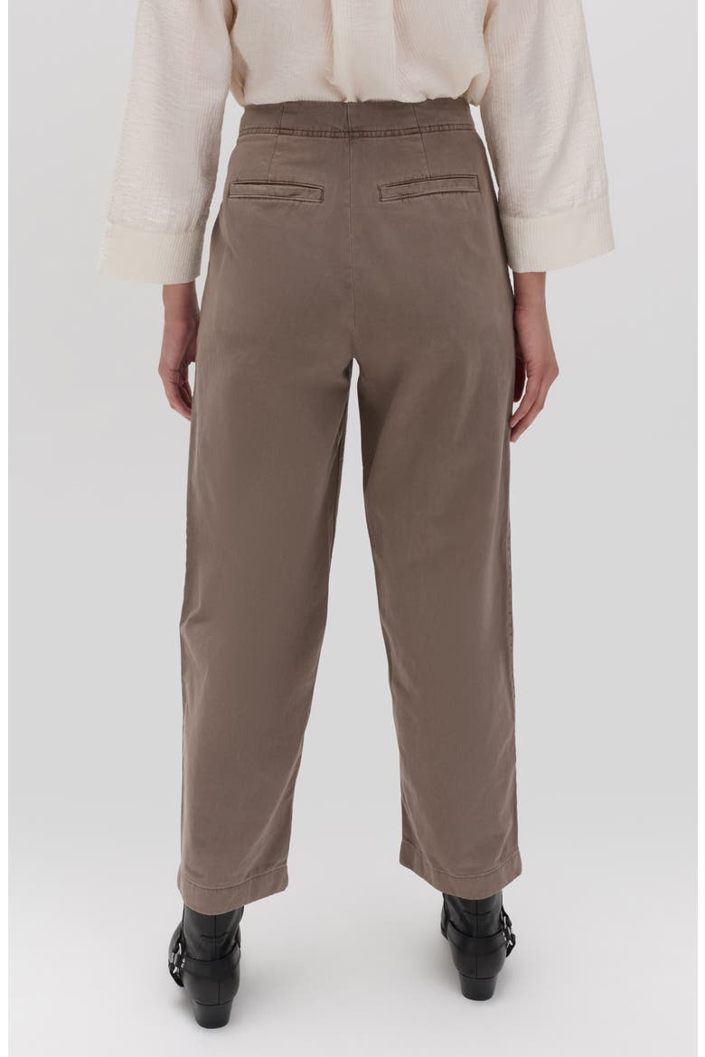 Pleated Barrel Leg Pants, Alternate, color, SOFT BROWN