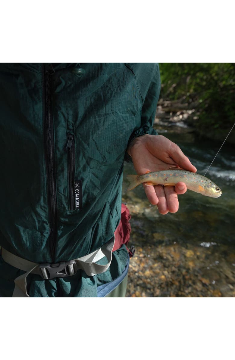 Coalatree Whistler Windbreaker, Alternate, color, Green