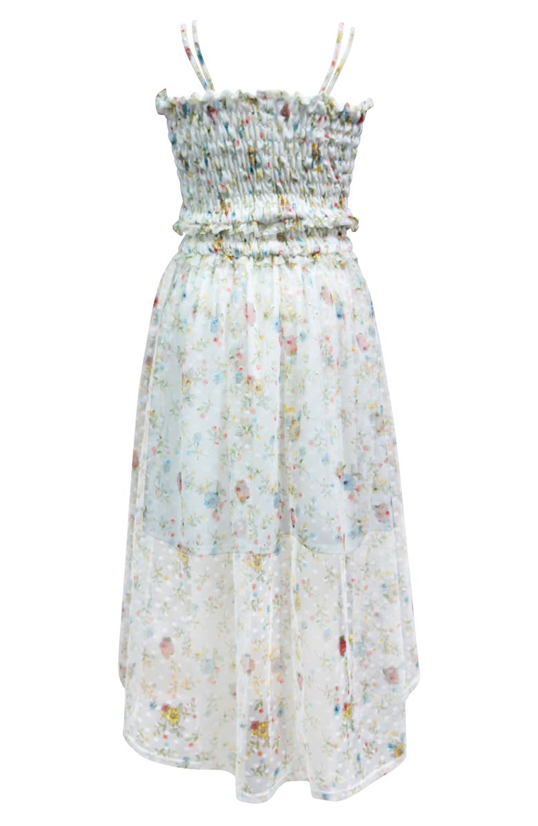 Ava & Yelly Smocked Mesh Maxi Dress, Alternate, color,