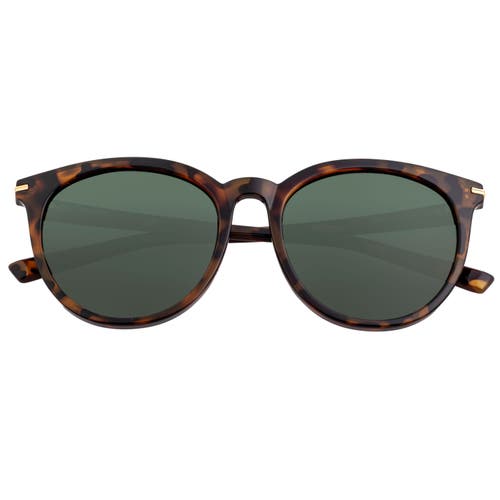 Sixty One Palawan Polarized Sunglasses In Tortoise/black
