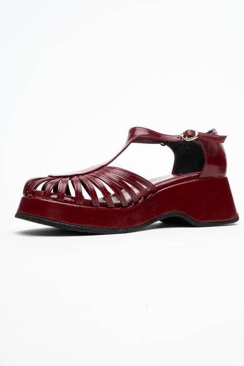 Prologue Shoes Aniel Platform Wedge Sandal In Burgundy