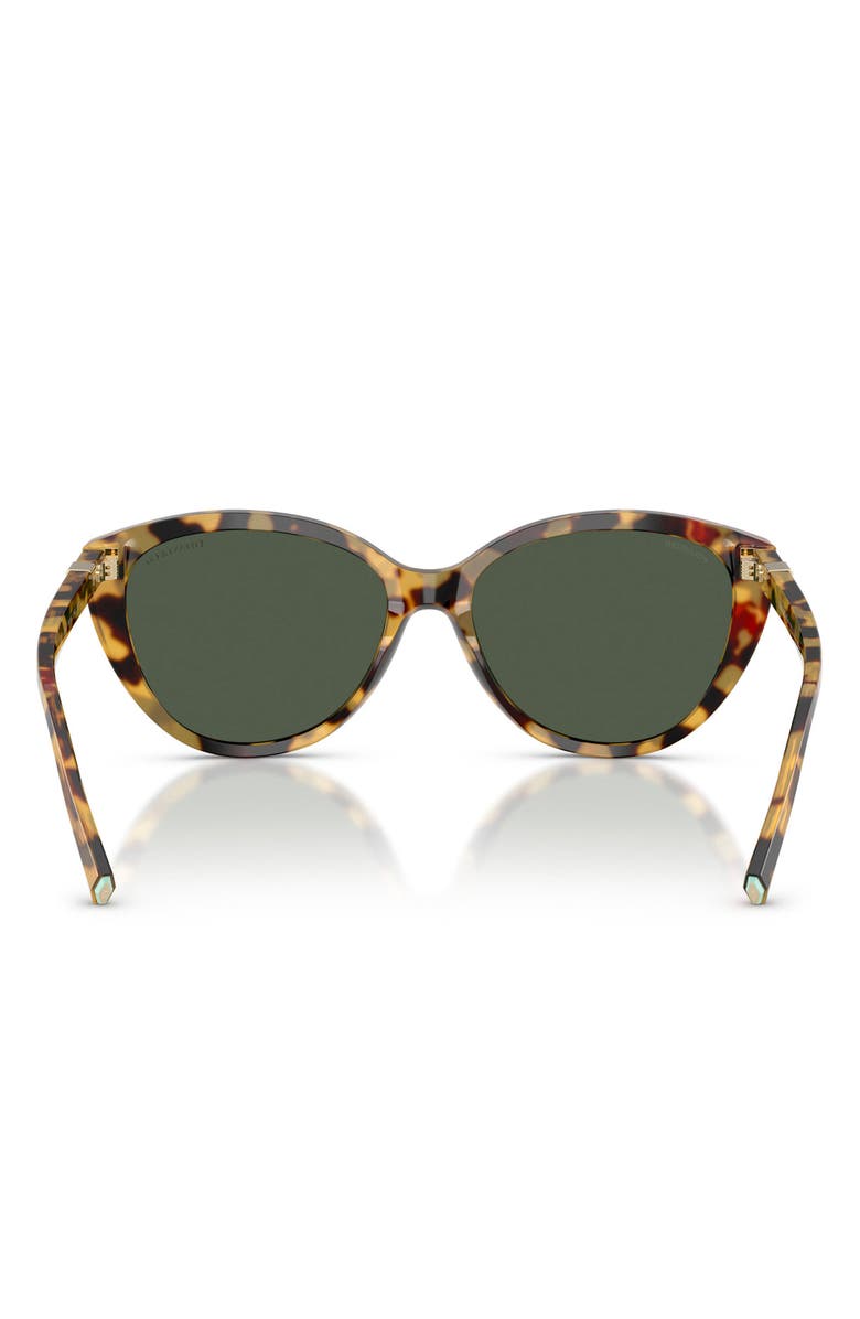 Tiffany & Co. 56mm Polarized Cat Eye Sunglasses, Alternate, color, Blonde Havana / Polar Green