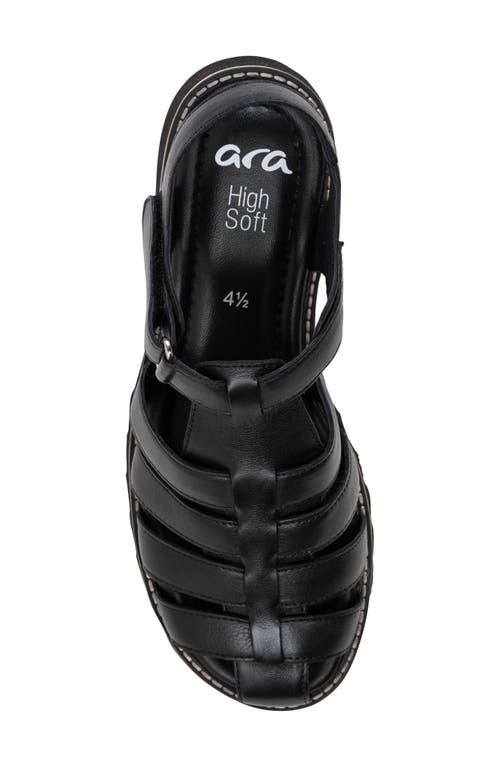 Ara Phoenix Sandal In Black