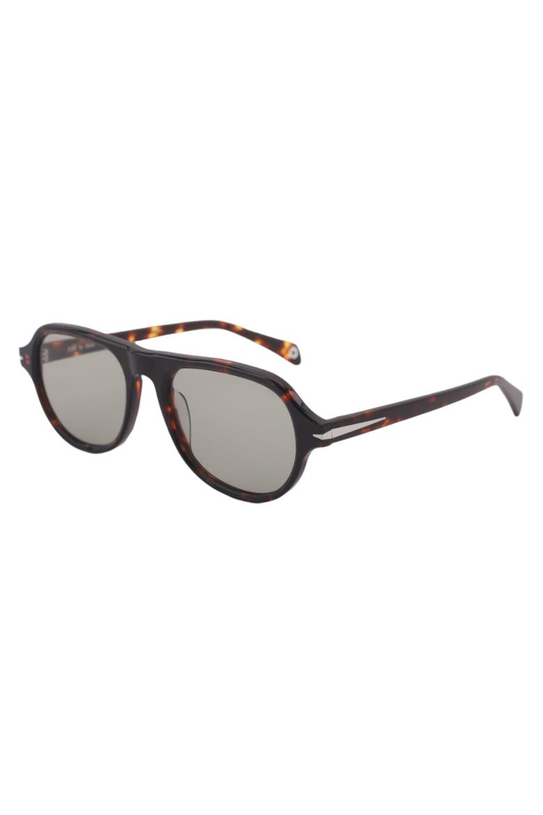 Ash Sunglasses, Alternate, color, Tortoise - Tinted Olive