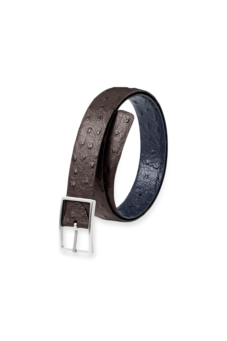 Ostrich Embossed Reversible Belt, Main, color, Navy/Brown