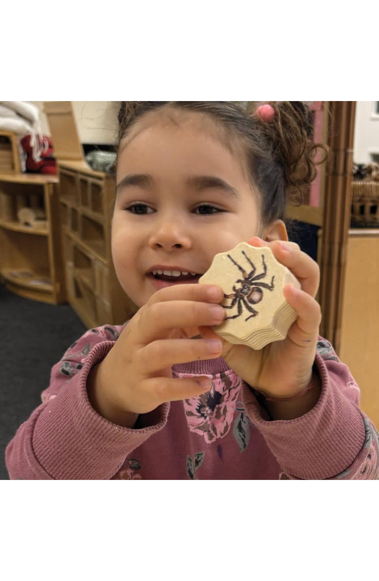 Yellow Door Who's Hiding? Garden Bug Puzzles - Set of 4, Alternate, color, Multicolored