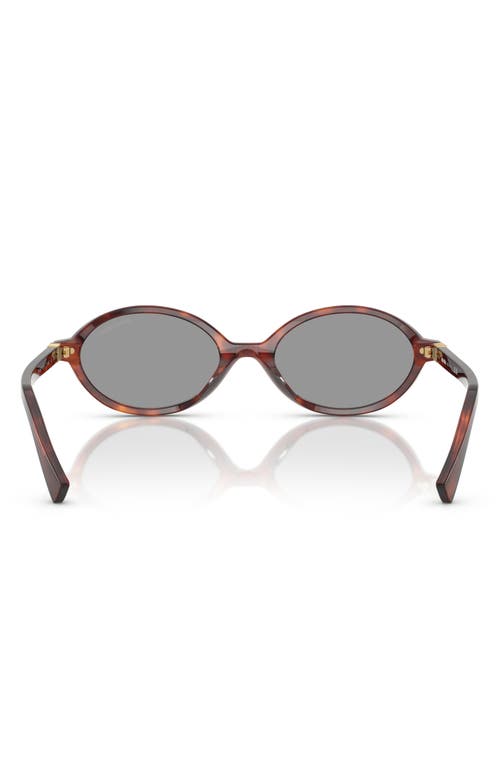 Miu Miu 0mu 04zs 21c40o Havana Mahogany Sunglasses In Grey