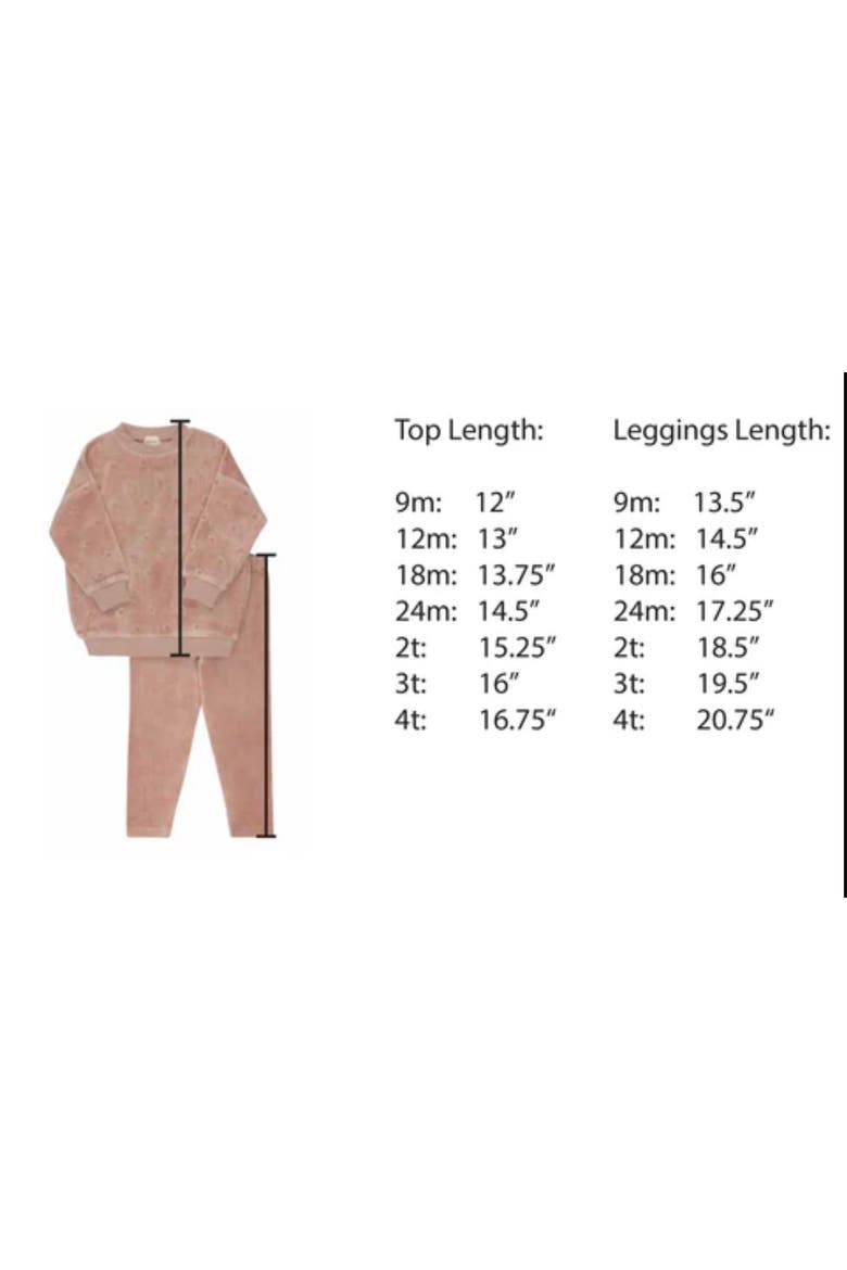 Velour Embroidered Floral Collection- Lounge Set, Alternate, color, Ivory Boy