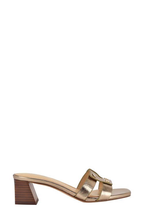 Calvin Klein Andrae Slide Sandal In Brown