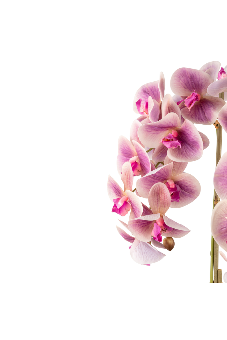 Abella RealTouch Orchid Arrangement, Alternate, color, Periwinkle