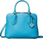 Tory Burch Mini Leather Swing Crossbody Bag