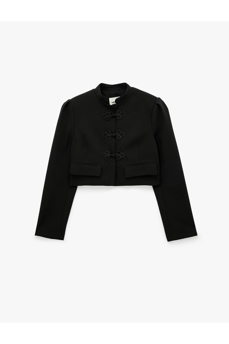Mandarin Collar Long Sleeve Crop Napoleon Jacket, Alternate, color, BLACK
