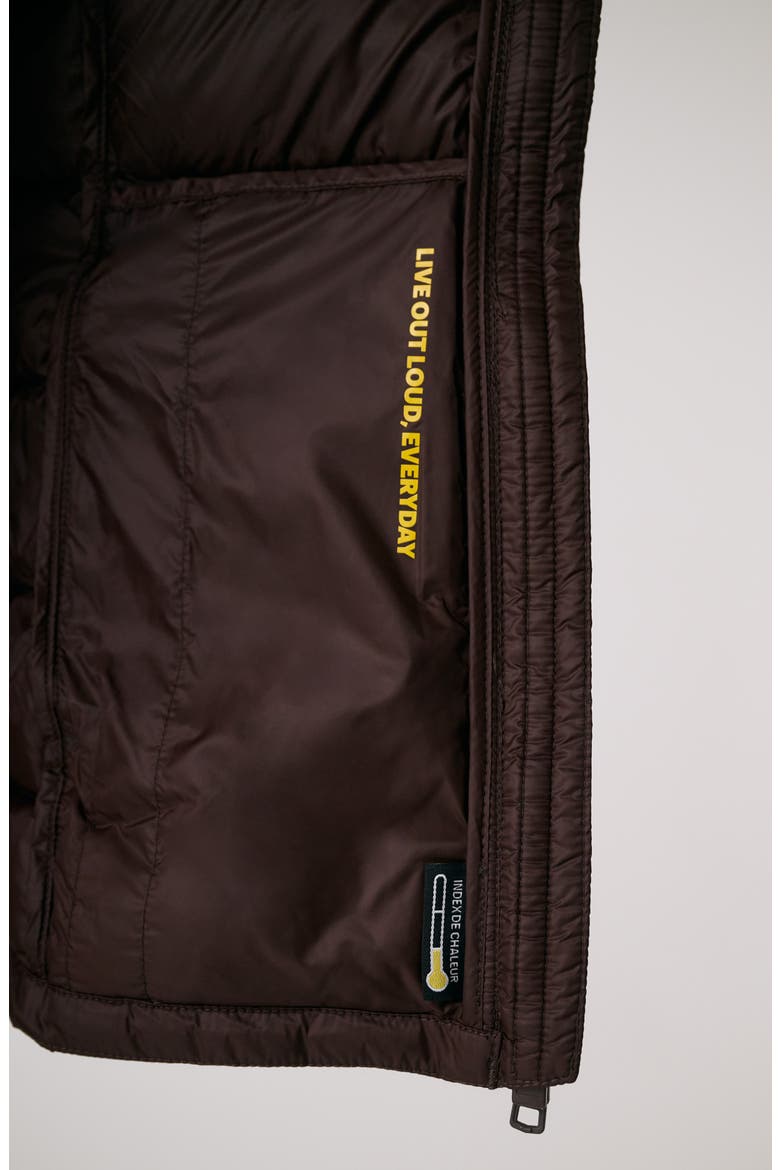Emeline Water Repellent 550 Fill Power Down Jacket, Alternate, color, JAVA